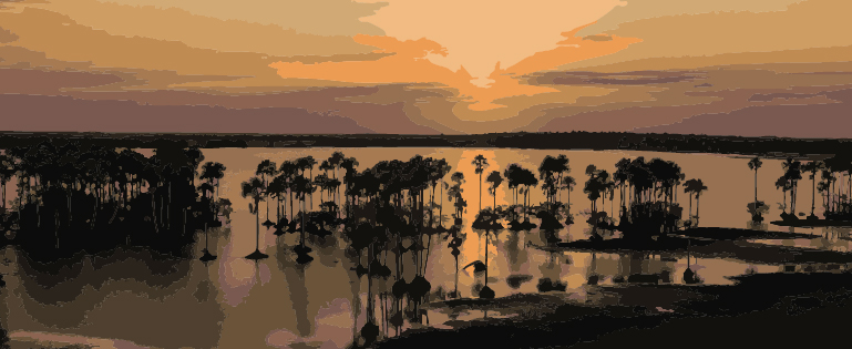 Un japonés en el Casanare