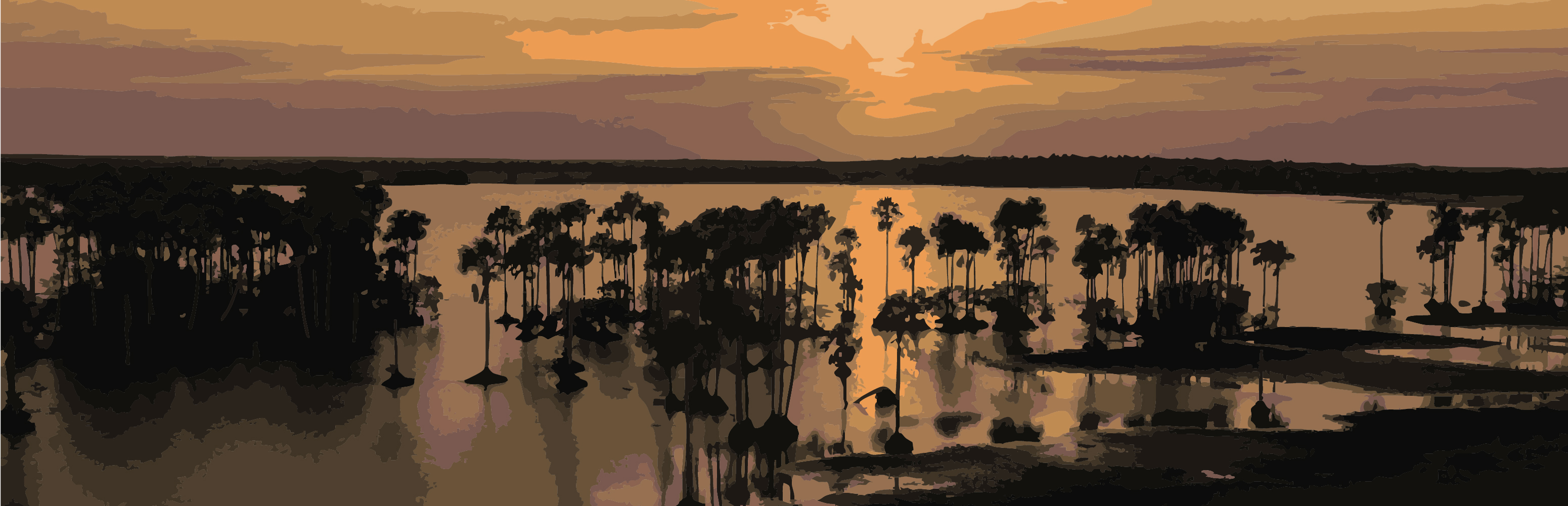 Un japonés en el Casanare